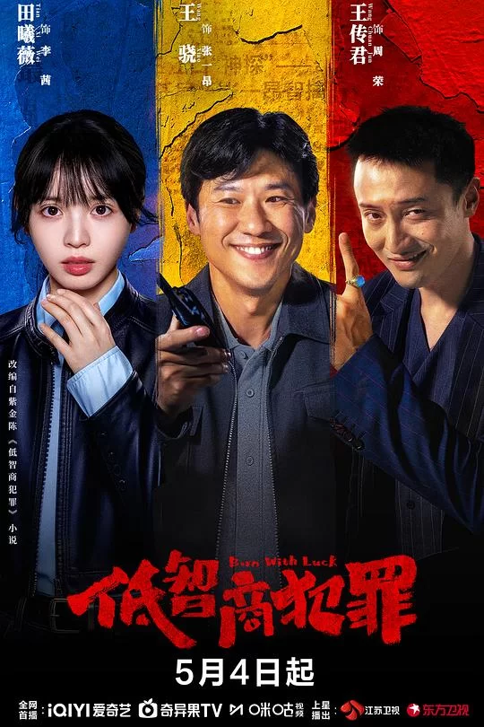 [2026] [剧情/悬疑] 低智商犯罪